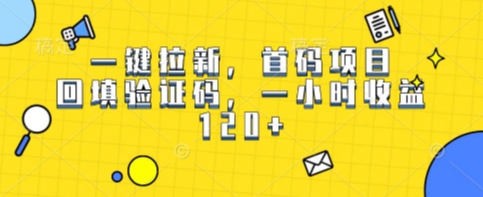 一键拉新，首码项目，回填验证码，一小时收益1张-8U创业网