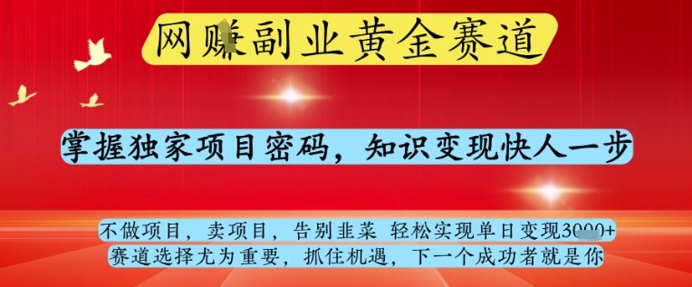 网创副业黄全赛道，掌握独家项目密码，知识变现快人一步，告别韭菜轻松实现单日变现1k+【揭秘】-8U创业网