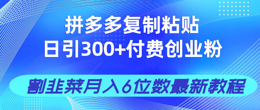 （14232期）拼多多复制粘贴日引300+付费创业粉，割韭菜月入6位数最新教程！-8U创业网