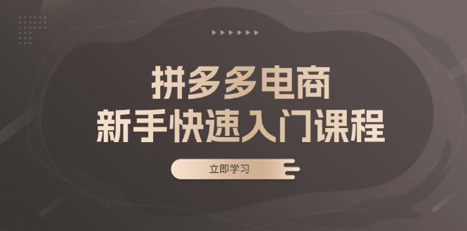 拼多多电商新手快速入门课程：涵盖基础、实战与选款，助力小白轻松上手-8U创业网