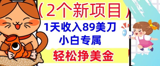 2个新项目，轻松挣美金， 1天收入89美刀，小白专属，干货分享-8U创业网