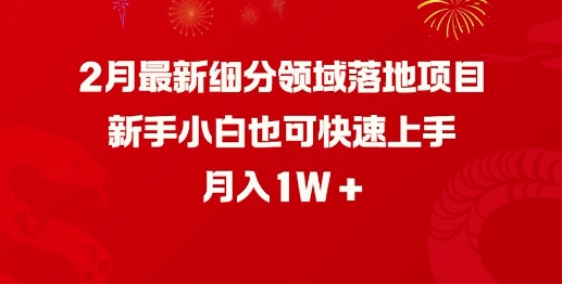 2月最新细分领域落地项目，新手小白也可快速上手，月入1W-8U创业网
