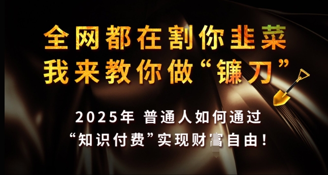 全网都在割你韭菜，我来教你做镰刀，2025年普通人如何通过 知识付费 实现财F自由【揭秘】-8U创业网