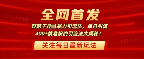 全网首发，野路子暴力引流法，单日引流400+精准粉的引流法大揭秘-8U创业网