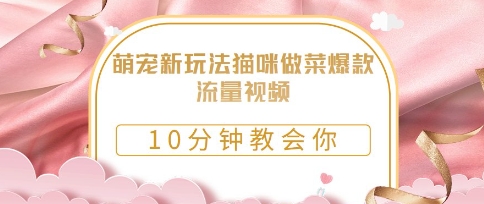 萌宠新玩法猫咪做菜爆款流量视频，10分钟教会你-8U创业网