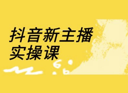 抖音新主播实操课，直播间流量运营线上实操课(18节)-8U创业网