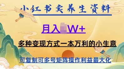 在小红书上卖养生资料，月入1w+，多种变现方式一本万利的小生意-8U创业网