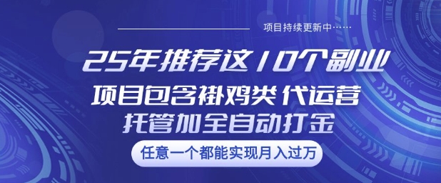 25年推荐这10个副业项目包含褂鸡类、代运营托管类、全自动打金类【揭秘】-8U创业网