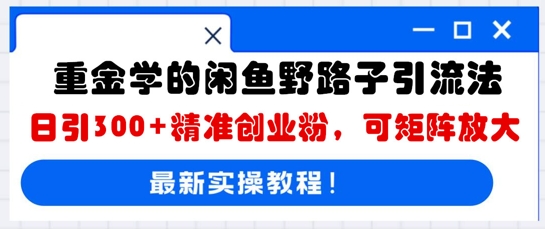 重金学的闲鱼野路子引流法，日引300+精准创业粉，可矩阵放大-8U创业网
