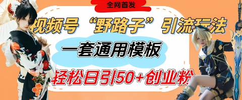 视频号“野路子”玩法，评论区疯狂截流，一套模板单日单号引流50+创业粉-8U创业网