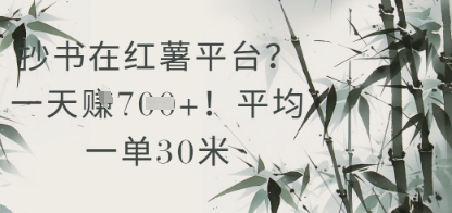 抄书在小红薯平台？平均一单30米，一天收益几张！-8U创业网