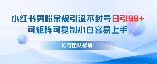小红书男粉常规引流不封号日引99+变现简单 可矩阵可复制小白容易上手-8U创业网