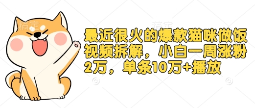 最近很火的爆款猫咪做饭视频拆解，小白一周涨粉2万，单条10万+播放(附保姆级教程)-8U创业网