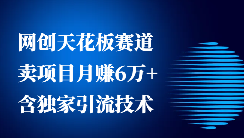 网创天花板赛道，卖项目月赚6万+，含独家引流技术(共26节课)-8U创业网