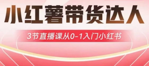 小红薯达人带货启航计划，3节直播课从0-1入门小红书-8U创业网