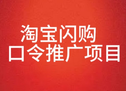 淘宝闪购口令推广项目，收益可观，一部手机，一个抖音号即可操作-8U创业网