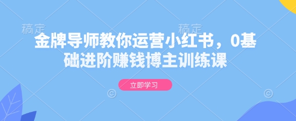 金牌导师教你运营小红书，0基础进阶赚钱博主训练课-8U创业网