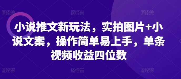 小说推文新玩法，实拍图片+小说文案，操作简单易上手，单条视频收益四位数-8U创业网