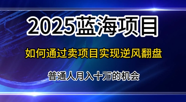 2025蓝海项目，普通人如何通过卖项目实现逆风翻盘，月入10个【揭秘】-8U创业网