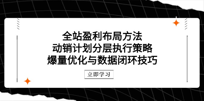 （14698期）全站盈利布局方法：动销计划分层执行策略，爆量优化与数据闭环技巧-8U创业网