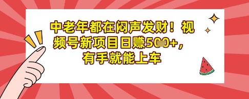 中老年都在闷声发财，视频号新项目日入多张，有手就能上车-8U创业网
