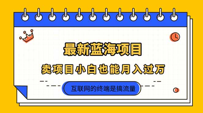 （14289期）2025年最新蓝海项目，卖项目小白也能月入过万-8U创业网