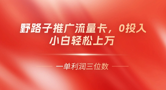 0门槛推广流量卡，一单收益上百，0投入，小白月入过W-8U创业网