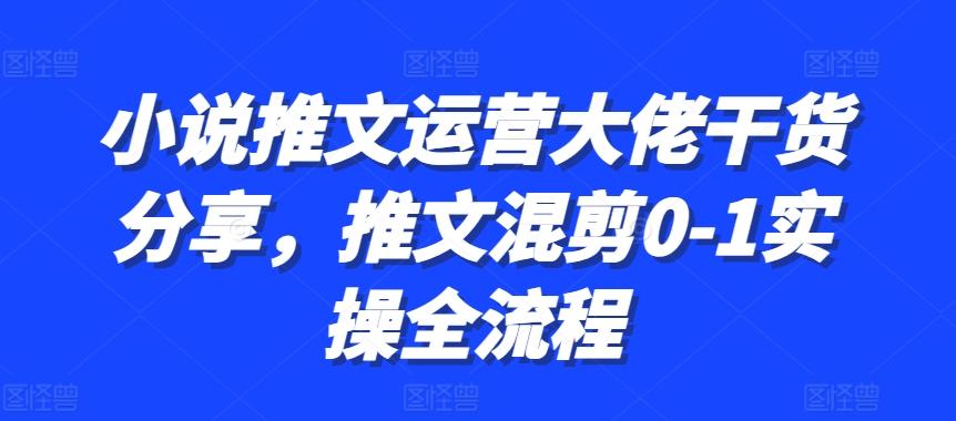 小说推文运营大佬干货分享，推文混剪0-1实操全流程-8U创业网