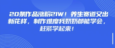 20条作品涨粉21W！养生赛道又出新花样，制作难度我奶奶都能学会，赶紧学起来-8U创业网