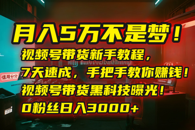 （15595期）月入5万不是梦！视频号带货新手教程，7天速成，手把手教你赚钱！视频号…-8U创业网