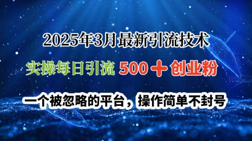 2025年3月最新引流技术，实操每日引流500+创业粉，一个被忽略的平台，操作简单不封号-8U创业网