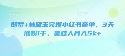 即梦+林黛玉完爆小红书商单，3天涨粉1千，靠怼人月入5k+-8U创业网