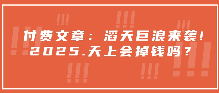 付费文章：滔天巨浪来袭！2025天上会掉钱吗？-8U创业网