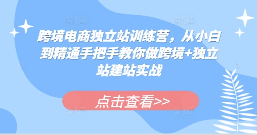 跨境电商独立站训练营，从小白到精通手把手教你做跨境+独立站建站实战-8U创业网