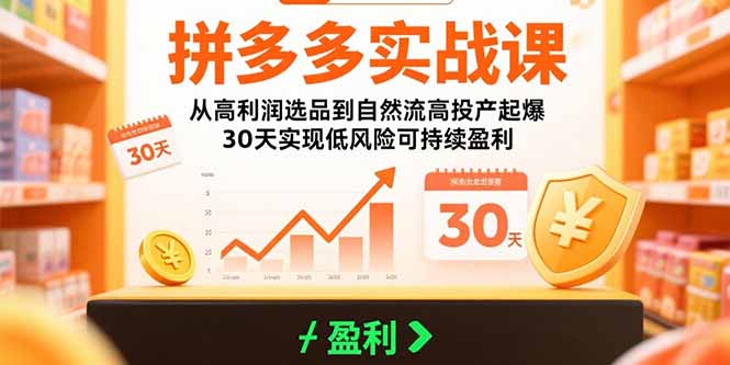 （15586期）拼多多实战课：从高利润选品到自然流高投产起爆 30天实现低风险可持续盈利-8U创业网