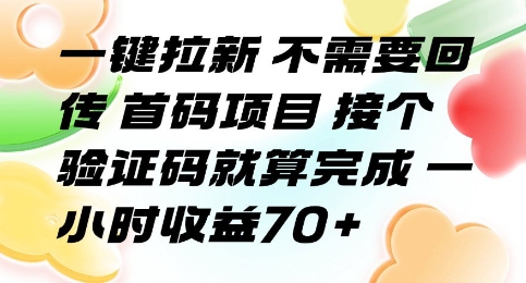 一键拉新 不需要回传 首码项目 接个验证码就算完成 一小时收益70+【揭秘】-8U创业网