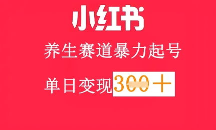 小红书养生赛道，暴力起号，轻松日入3张+-8U创业网