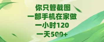 你只管截图，一部手机在家做，苹果安卓都可以，一天5张+【揭秘】-8U创业网