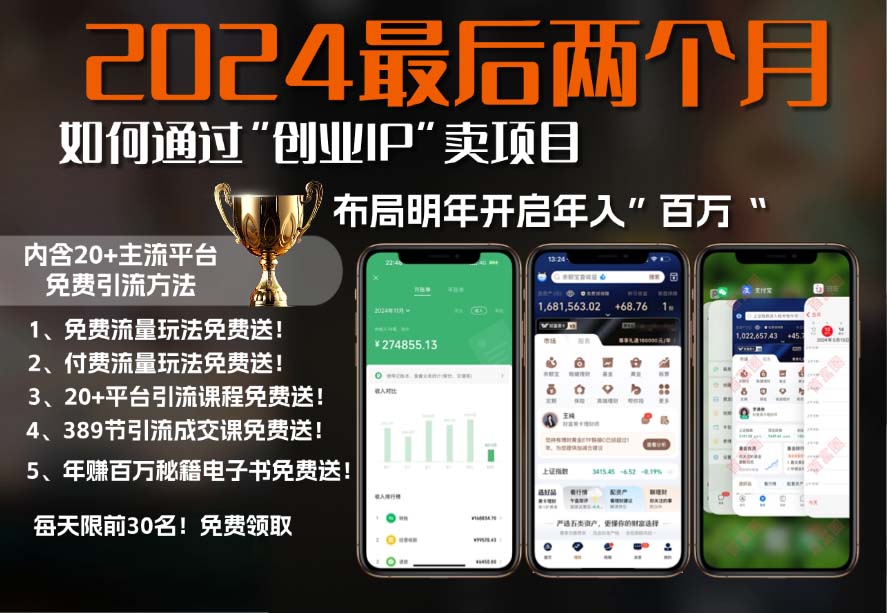 2024最后两个月如何通过”创业IP“卖项目年入”百万“,创业IP+最强引流…-8U创业网