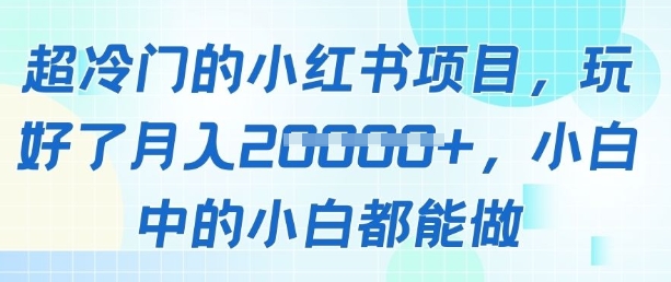 超冷门的小红书项目，玩好了月入过1w，小白中的小白都能做-8U创业网