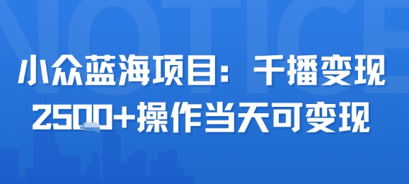 小众蓝海项目，千播变现2.5k+操作当天可变现-8U创业网