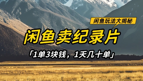 闲鱼卖纪录片1单3块钱，1天几十单，项目稳定有潜力-8U创业网