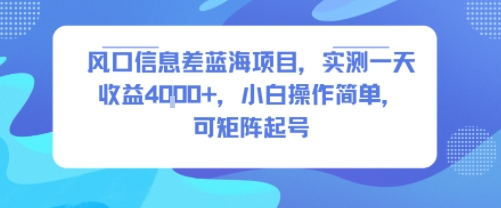 风口信息差蓝海项目，实测一天收益4k+，小白操作简单，可矩阵起号-8U创业网