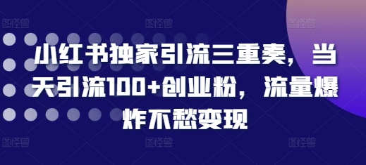 小红书独家引流三重奏，当天引流100+创业粉，流量爆炸不愁变现【揭秘】-8U创业网