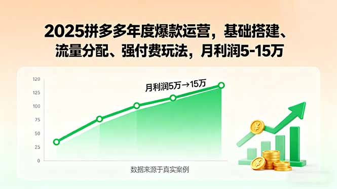 2025拼多多年度爆款运营，基础搭建、流量分配、强付费玩法，月利润5-15万-8U创业网
