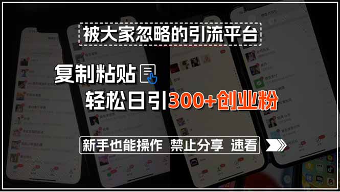 （15428期）被大家忽略的引流平台，复制粘贴轻松日引300+创业粉，新手也能操作，禁…-8U创业网