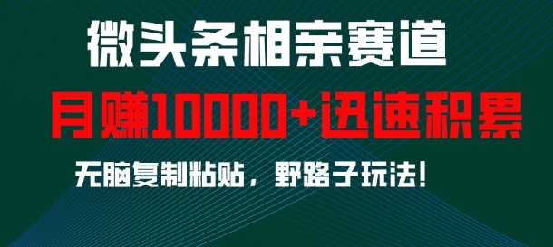 微头条相亲赛道，迅速积累，无脑复制粘贴，野路子玩法，月入1w-8U创业网