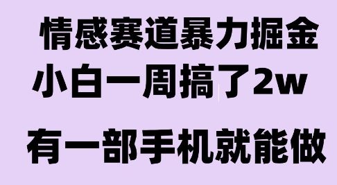 情感暴力掘金项目，新人操作一周挣了2W，长期稳定小白可做【揭秘】-8U创业网