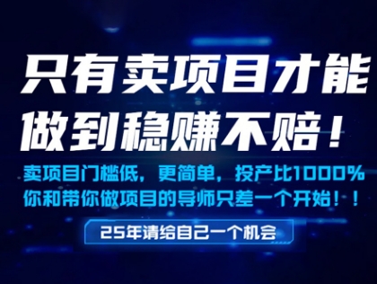 只有卖项目才能做到稳挣不赔，门槛低，更简单，你也可以年入百个W【揭秘】-8U创业网