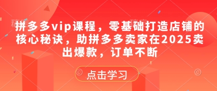 拼多多vip课程，零基础打造店铺的核心秘诀，助拼多多卖家在2025卖出爆款，订单不断-8U创业网